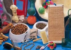 A Table Topped with lots of different types of food.